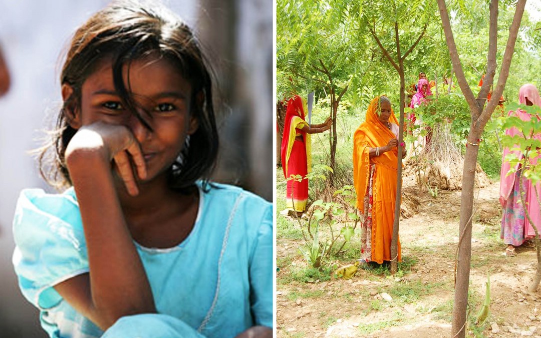 Dans ce village, on plante 111 arbres quand une fille naît. Girl power !