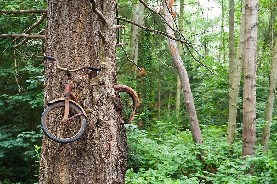 vélo-abandonné-arbre
