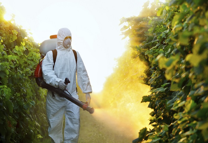 interdiction-pesticide-loi-labbe
