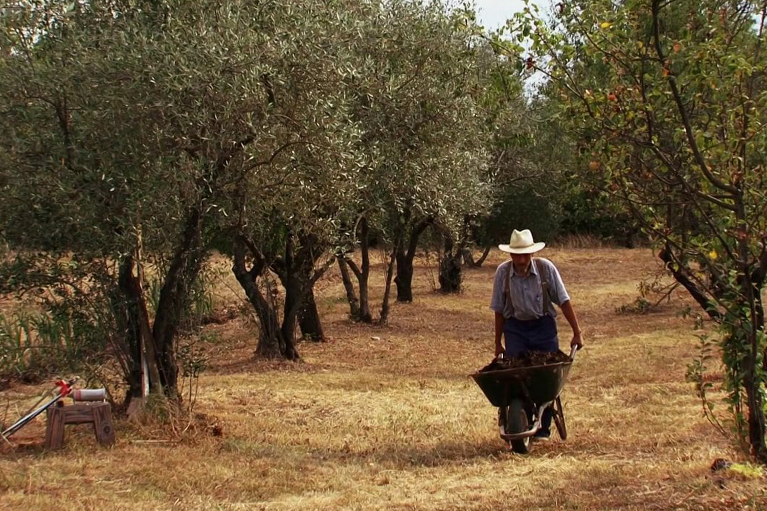 La Releve Et La Peste