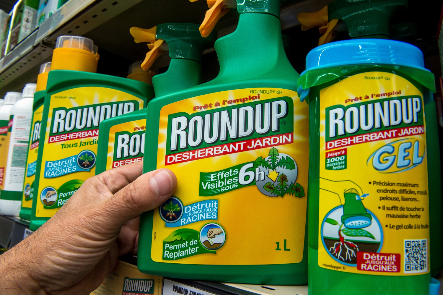 Qu-est-ce-qui-est-si-mauvais-dans-le-Roundup