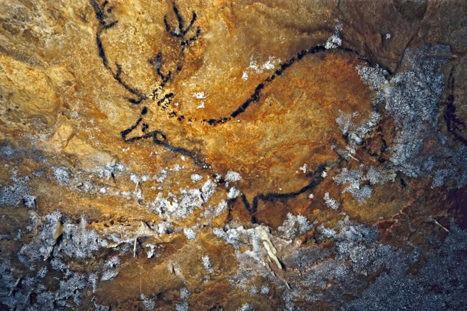 Cerf dessiné dans la grotte Cosquer