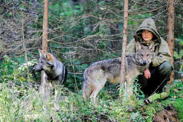 Laetitia Becker avec des louveteaux