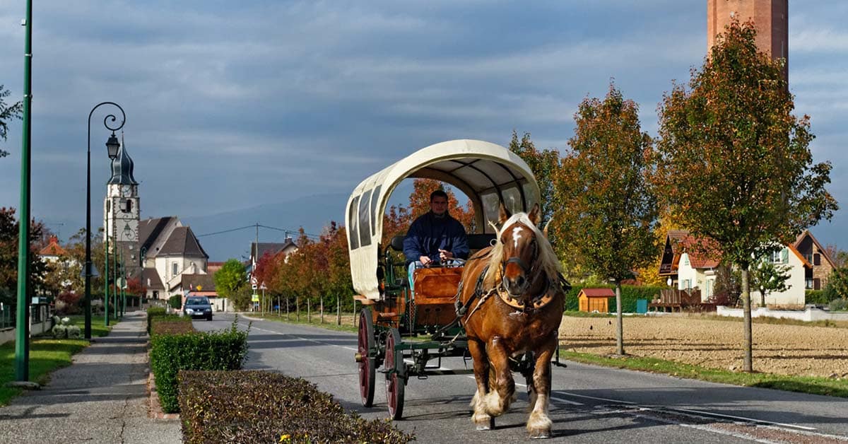 ungersheim-la-petite-ville-alsacienne-et-colo-mod-le
