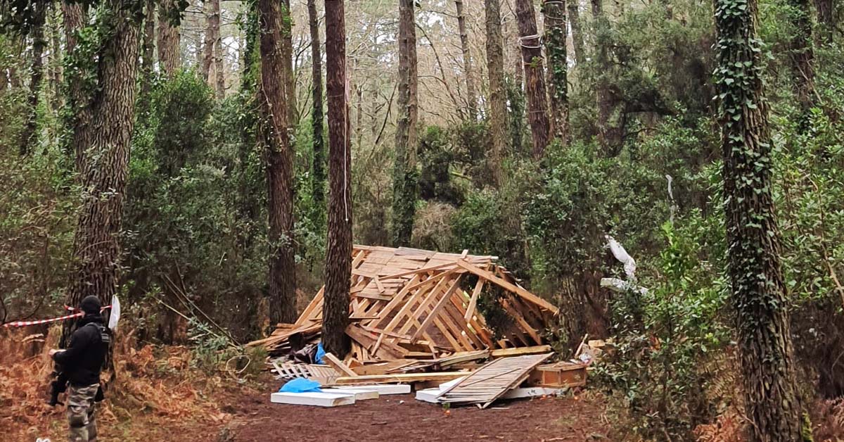 Landes : expulsion de la ZAD dans les arbres contre la ligne Très Haute Tension