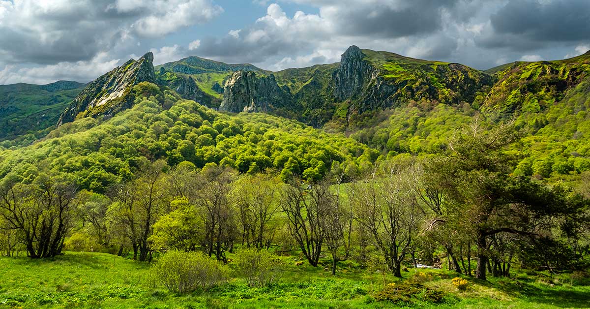 France : 50% des forêts de montagne en péril