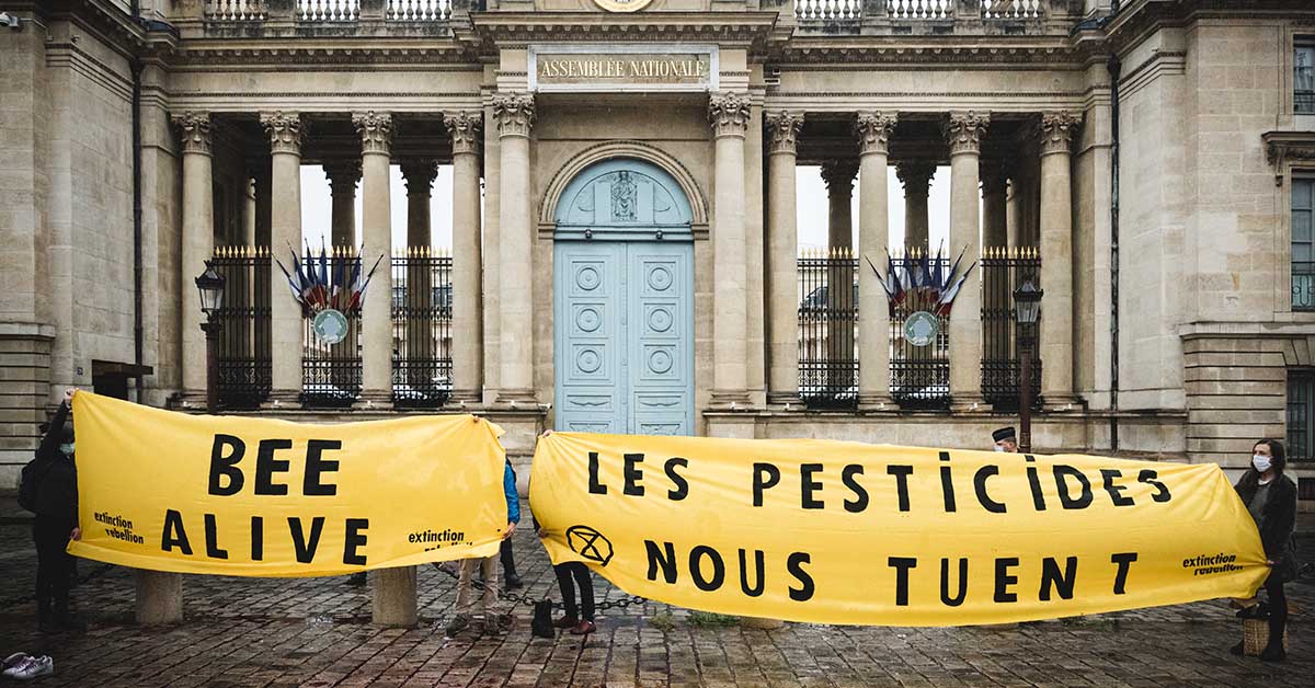 Le Sénat veut réautoriser des néonicotinoïdes ultra-toxiques en France