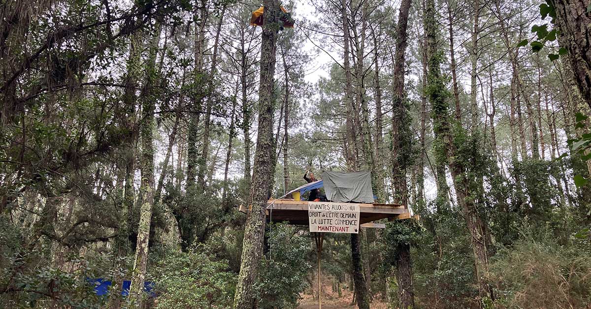 Landes : occupation dans les cimes contre la ligne Très Haute Tension de 400 000 volts