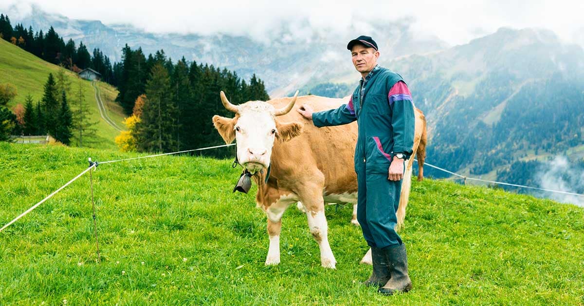 En Suisse, des agriculteurs portent plainte contre l’État pour inaction climatique