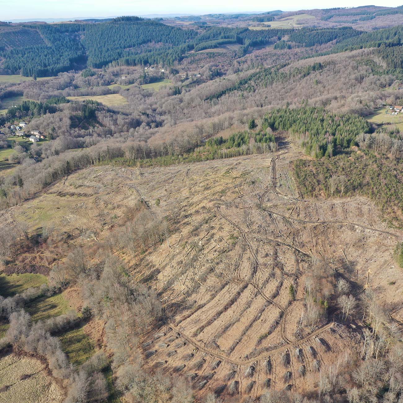 https://lareleveetlapeste.fr/wp-content/uploads/2025/02/la-releve-et-la-peste-edition-media-independant-coupe-rase-limousin-couv.jpg