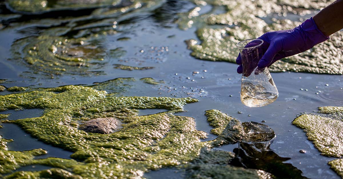 Plus de la moitié des cours d’eau européens dans un état « très critique »