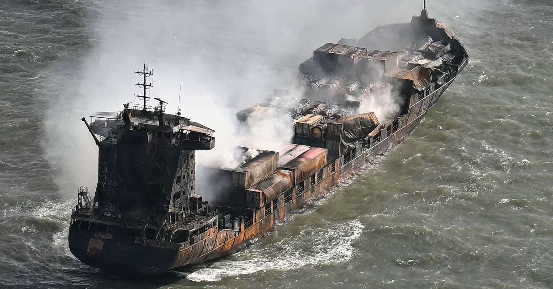 Crash en Mer du Nord : une pollution aux granulés plastiques menace la faune maritime