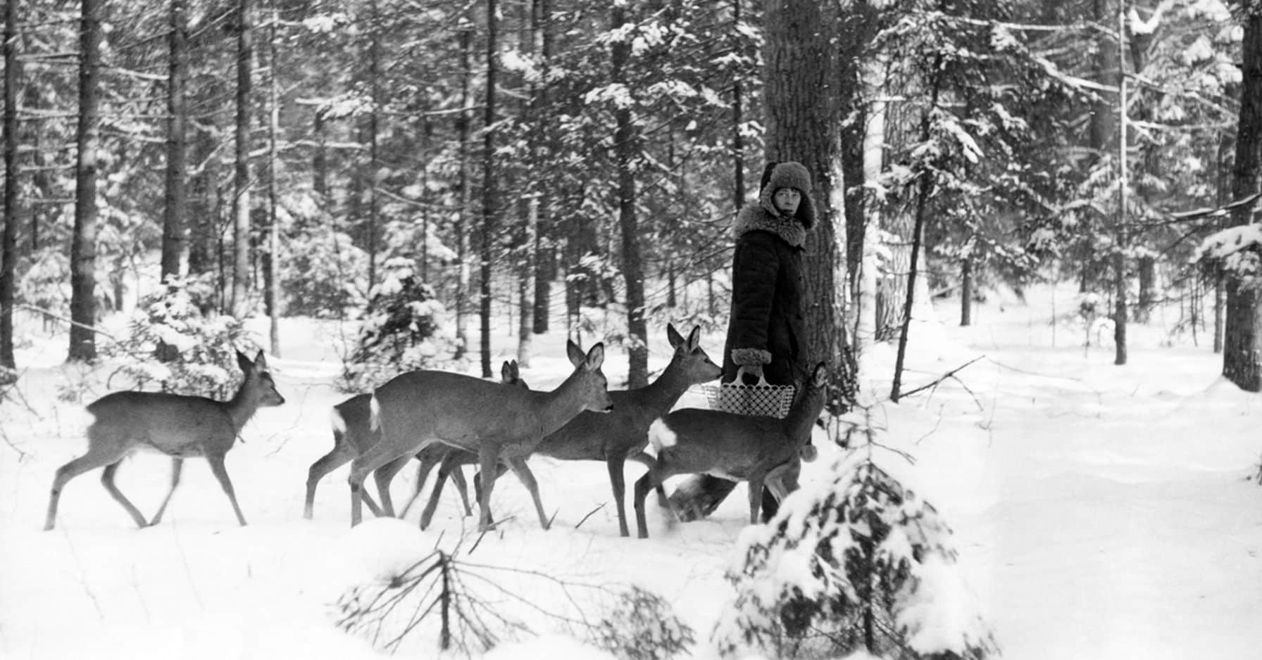 Simona Kossak a vécu plus de 30 ans avec les animaux de la forêt