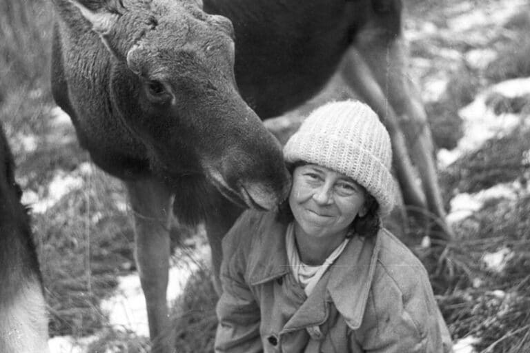 Simona Kossak a vécu plus de 30 ans avec les animaux de la forêt