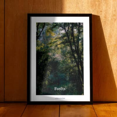 Poster Forêts
