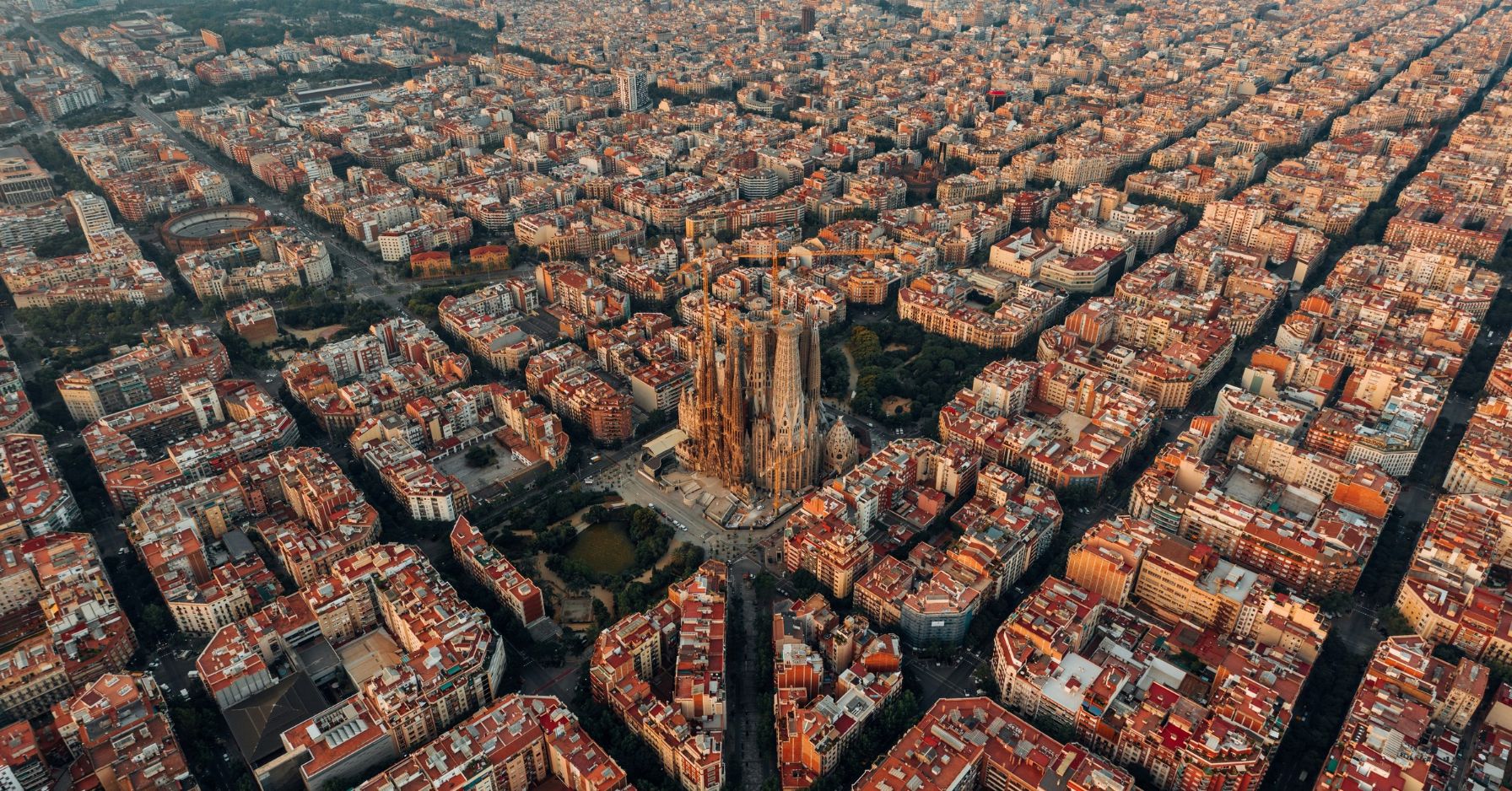 Des routes à base de noyaux d’olive : Barcelone veut piéger le CO₂ sous l’asphalte